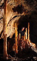 Ash at the mini columns, OFD II