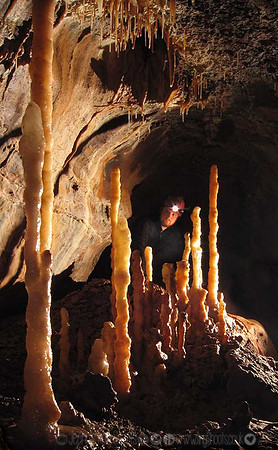 Ash at the mini columns, OFD II