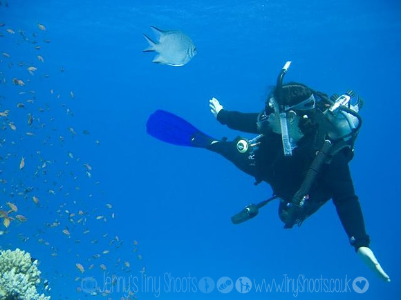 Diving