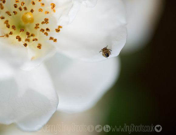 DSC_2361-Edit