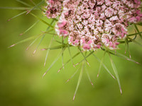P6260373
