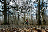 Seasons in Ruislip Woods